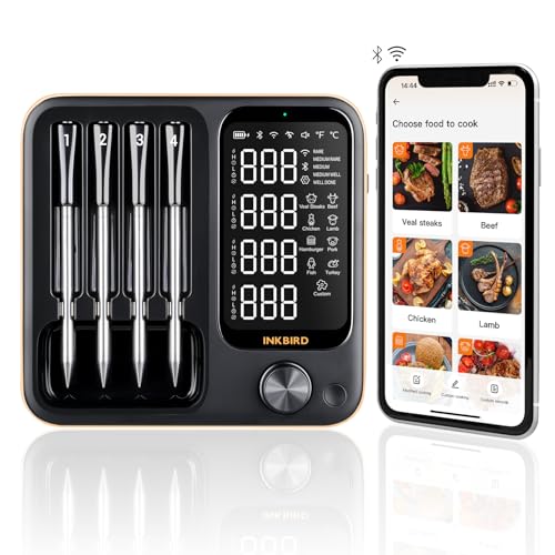 Best Digital Meat Thermometer for Grilling
